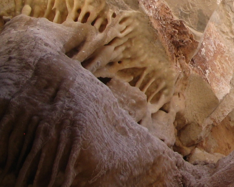 Stevens Ranch Habitat Conservation Plan