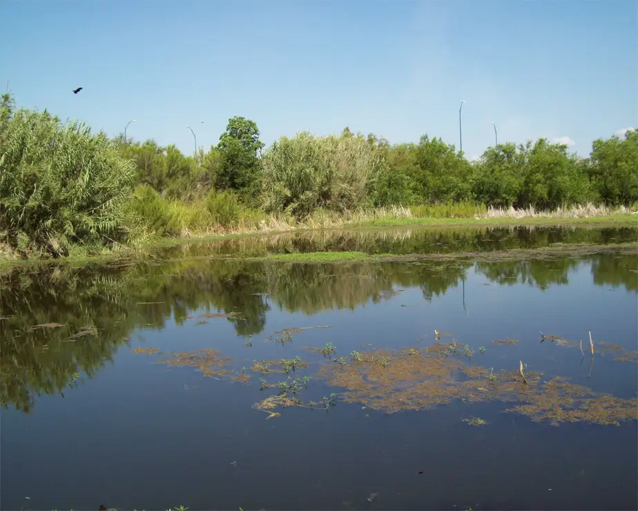 Beitel Creek Stream Restoration-Pape-Dawson