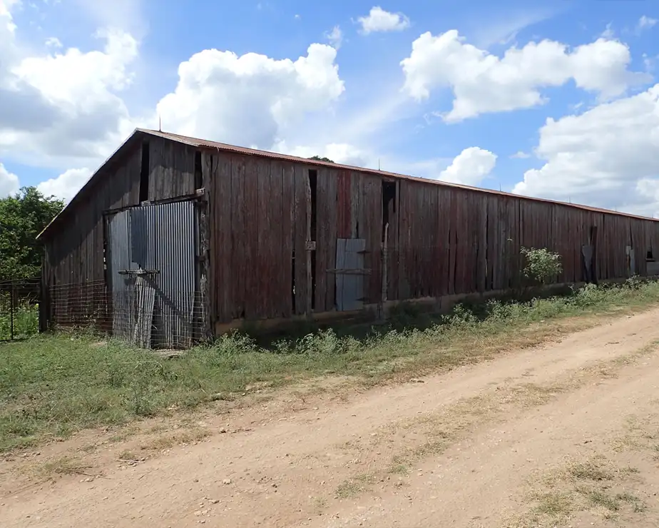 Cibolo Valley Ranch-Pape-Dawson