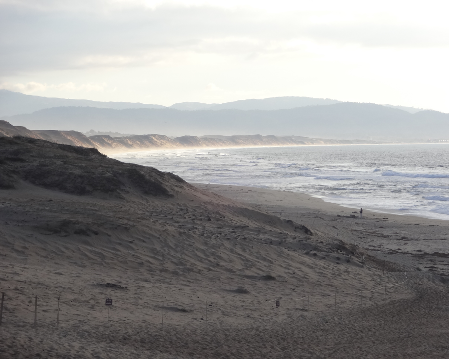 Monterey Regional Airport Pape Dawson