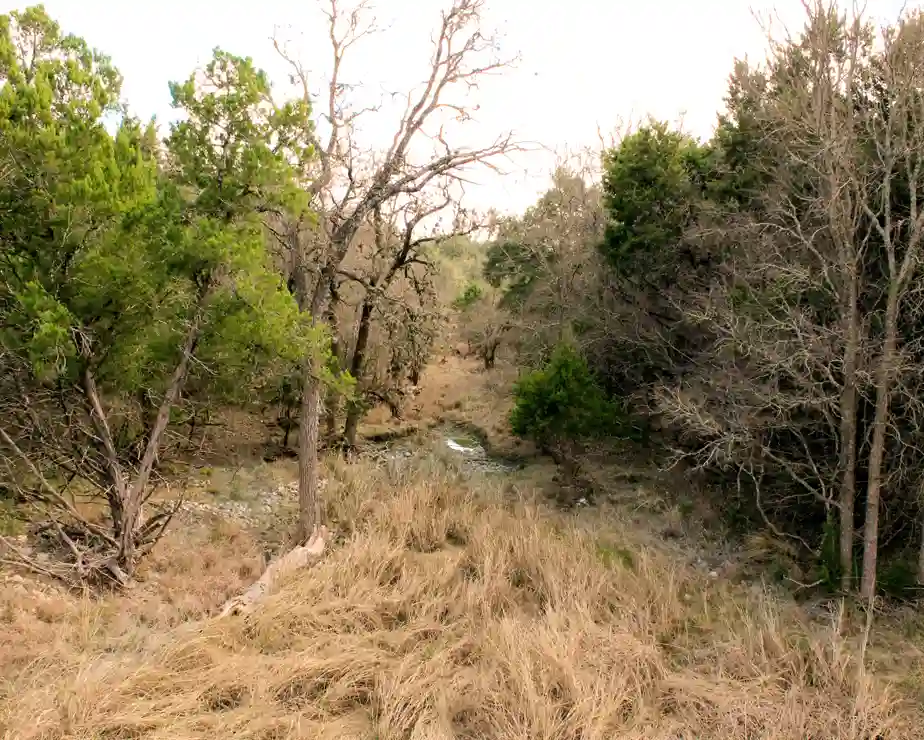 UTSA Habitat Conservation Plan-Pape-Dawson